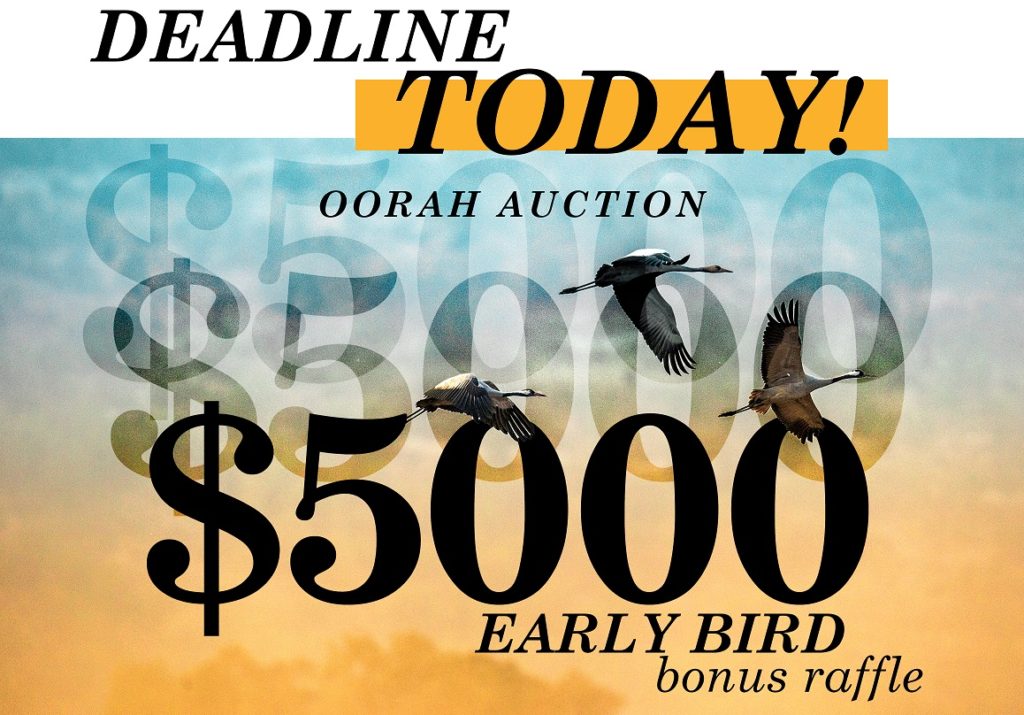 TODAY Oorah Auction Early Bird Deadline! Kollel Budget